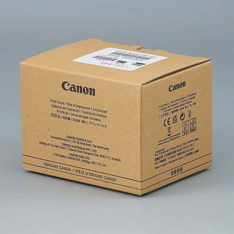 Canon Print Head PF-10 0861C003AA 0861C001 JAPAN ImagePROGRAF Pro Series Large